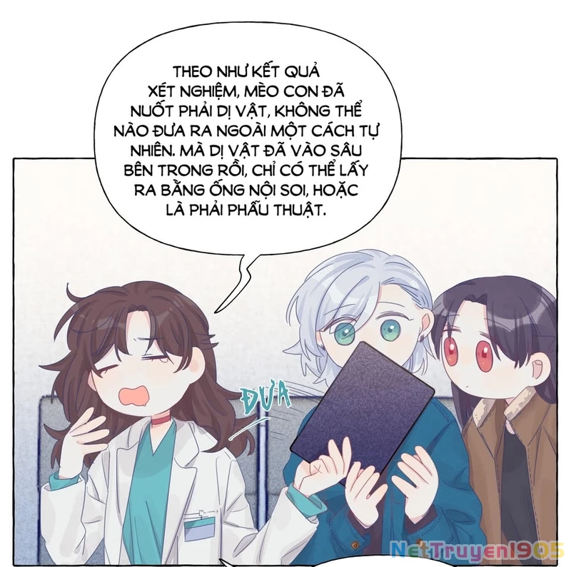 CẠM BẪY GÁI THẲNG Chapter 22 - 21