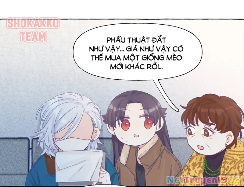 CẠM BẪY GÁI THẲNG Chapter 22 - 25