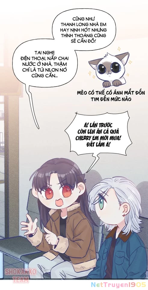 CẠM BẪY GÁI THẲNG Chapter 23 - 21