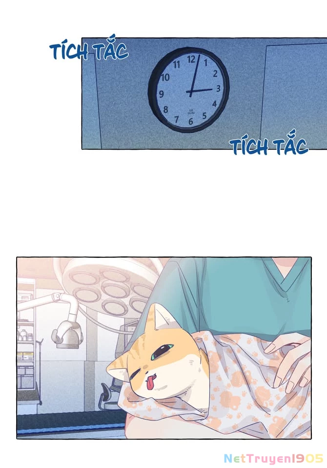 CẠM BẪY GÁI THẲNG Chapter 24 - 19