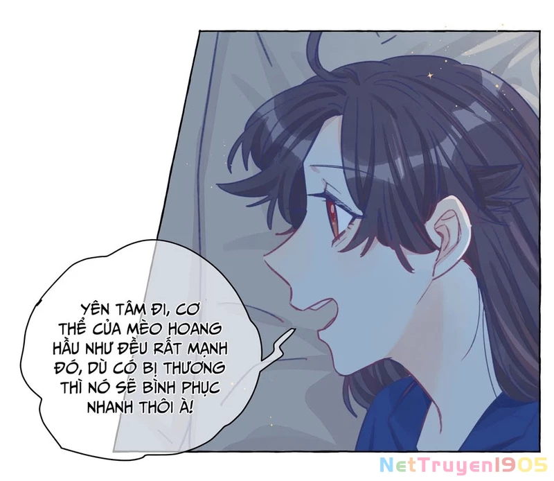 CẠM BẪY GÁI THẲNG Chapter 24 - 42