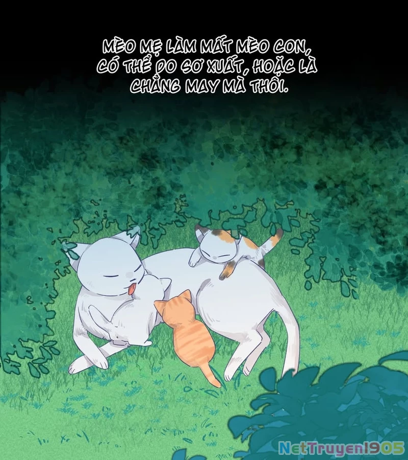 CẠM BẪY GÁI THẲNG Chapter 25 - 21