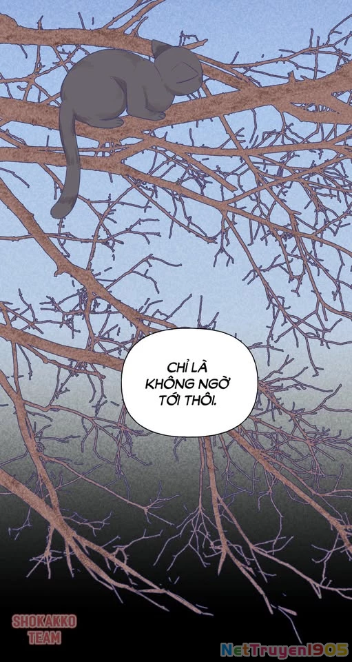 CẠM BẪY GÁI THẲNG Chapter 25 - 33