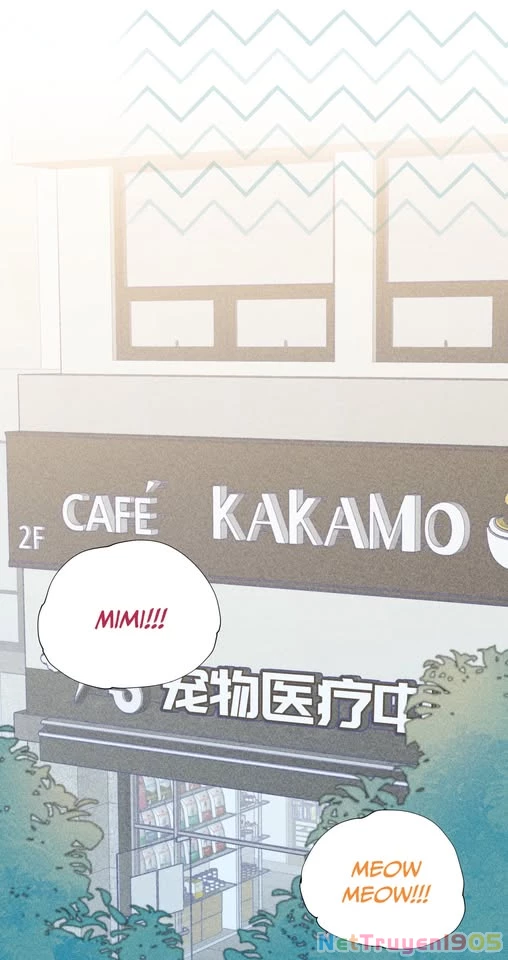 CẠM BẪY GÁI THẲNG Chapter 27 - 19