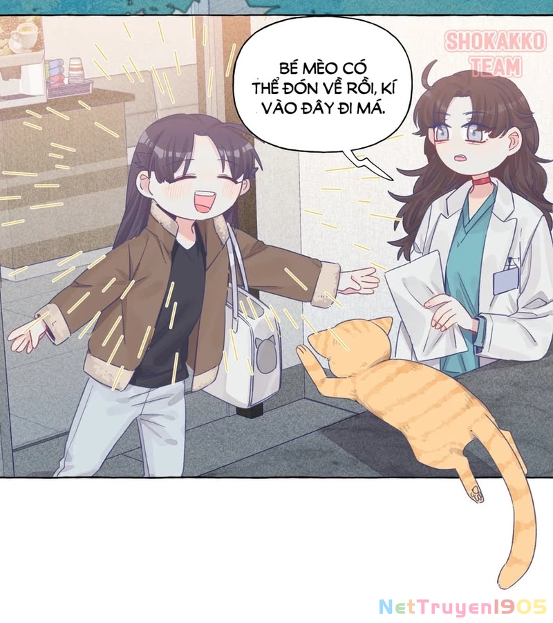 CẠM BẪY GÁI THẲNG Chapter 27 - 20