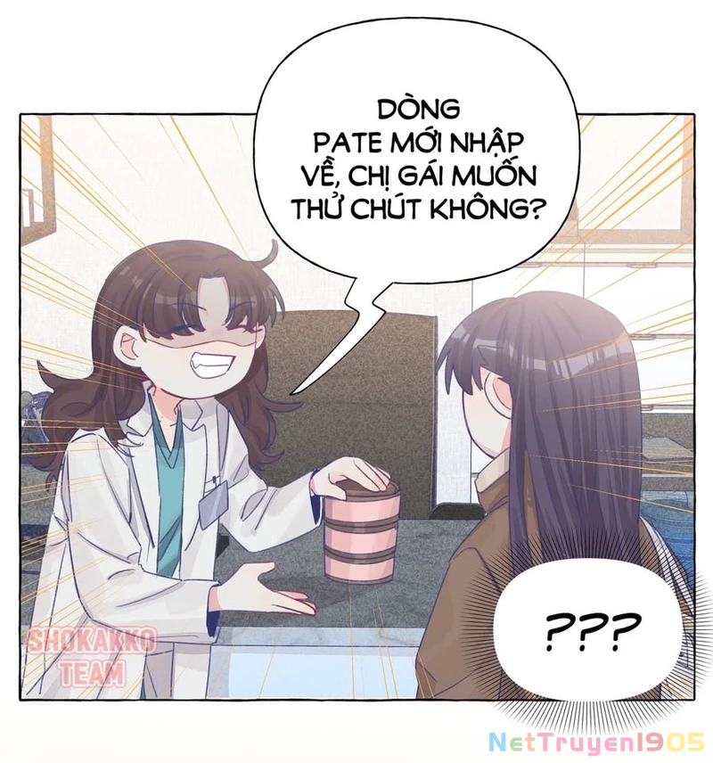 CẠM BẪY GÁI THẲNG Chapter 27 - 34