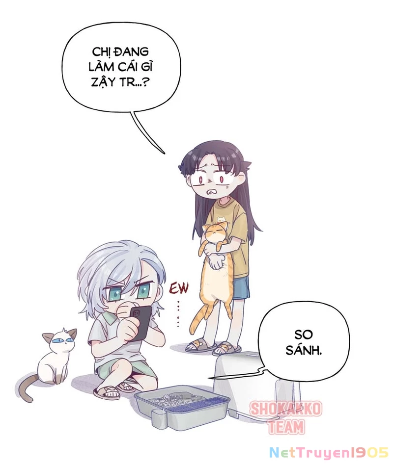 CẠM BẪY GÁI THẲNG Chapter 29.1 - 20