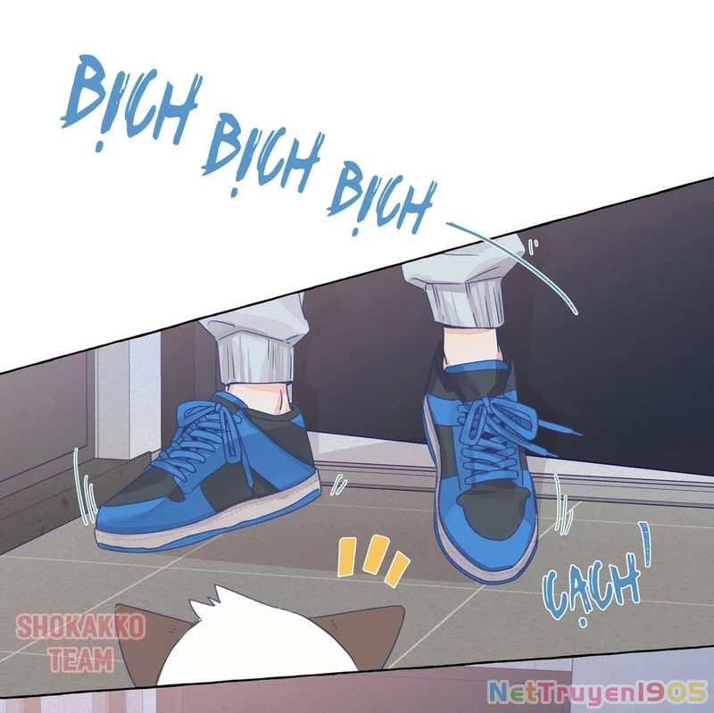 CẠM BẪY GÁI THẲNG Chapter 30 - 13