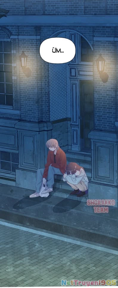 CẠM BẪY GÁI THẲNG Chapter 41 - 35