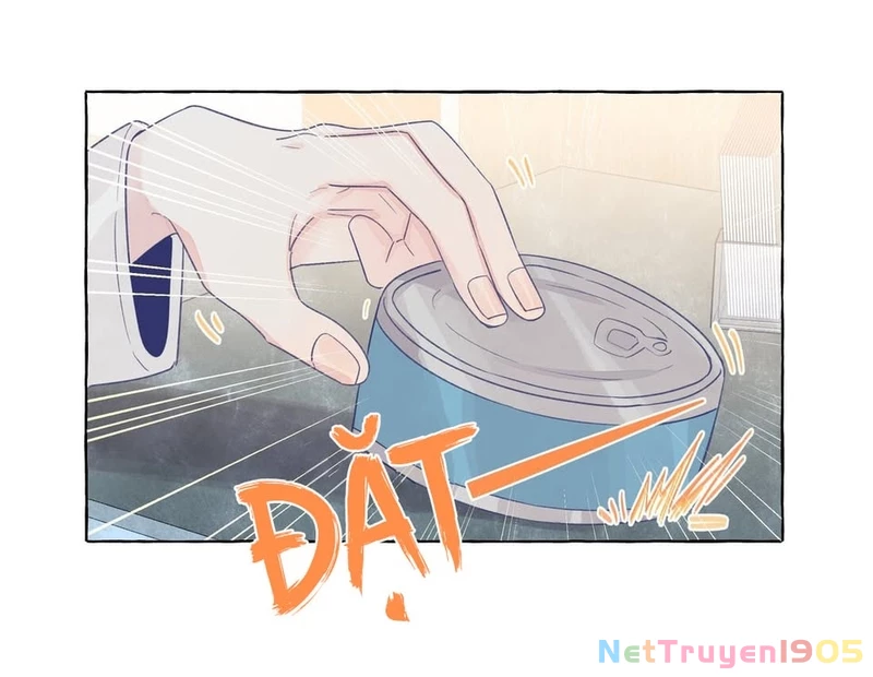 CẠM BẪY GÁI THẲNG Chapter 42 - 37