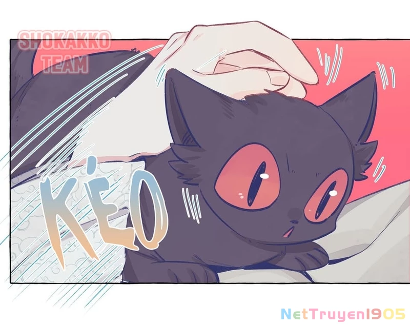 CẠM BẪY GÁI THẲNG Chapter 46 - 18