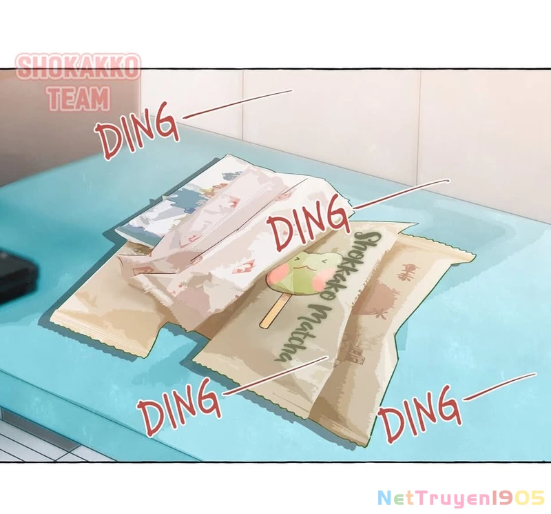 CẠM BẪY GÁI THẲNG Chapter 47 - 40