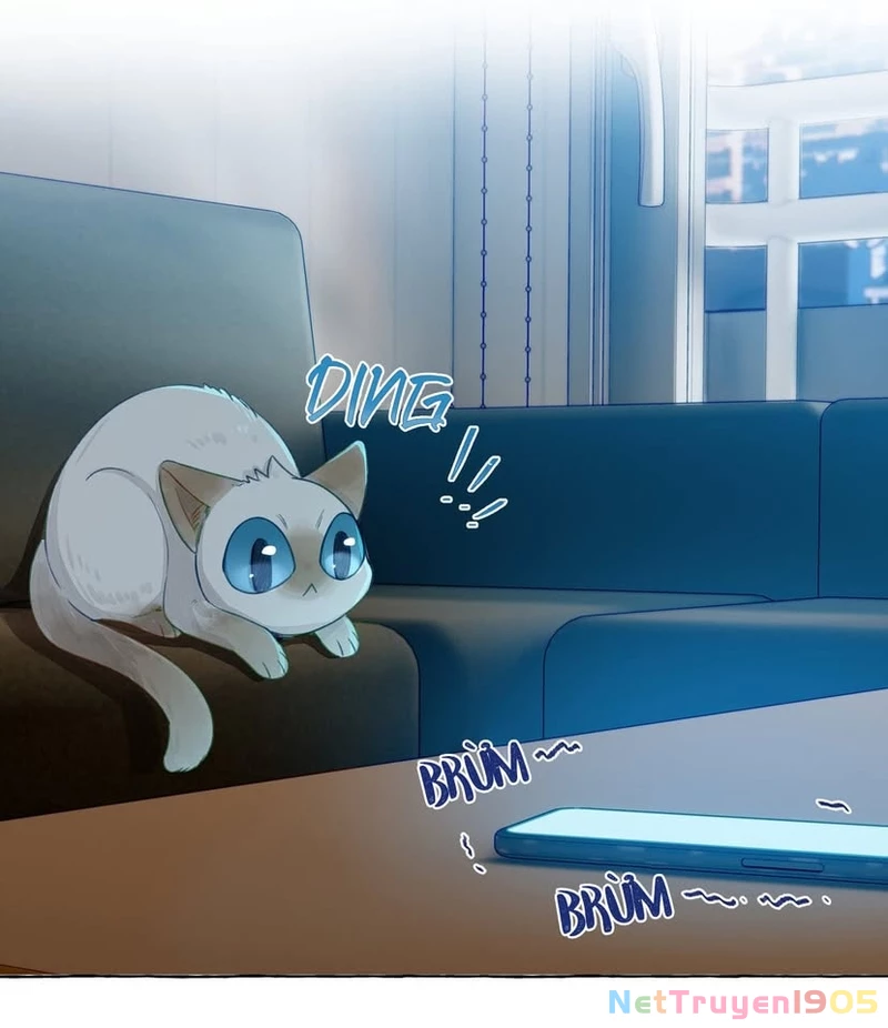 CẠM BẪY GÁI THẲNG Chapter 52 - 30