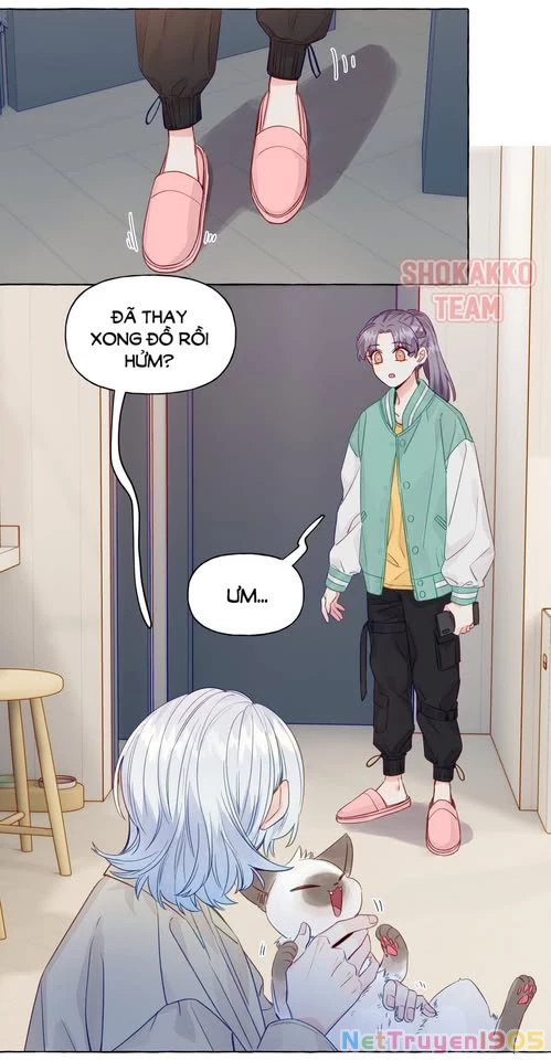 CẠM BẪY GÁI THẲNG Chapter 56 - 2