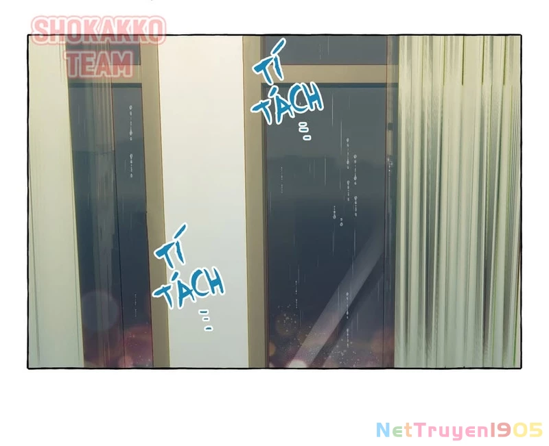 CẠM BẪY GÁI THẲNG Chapter 61 - 24