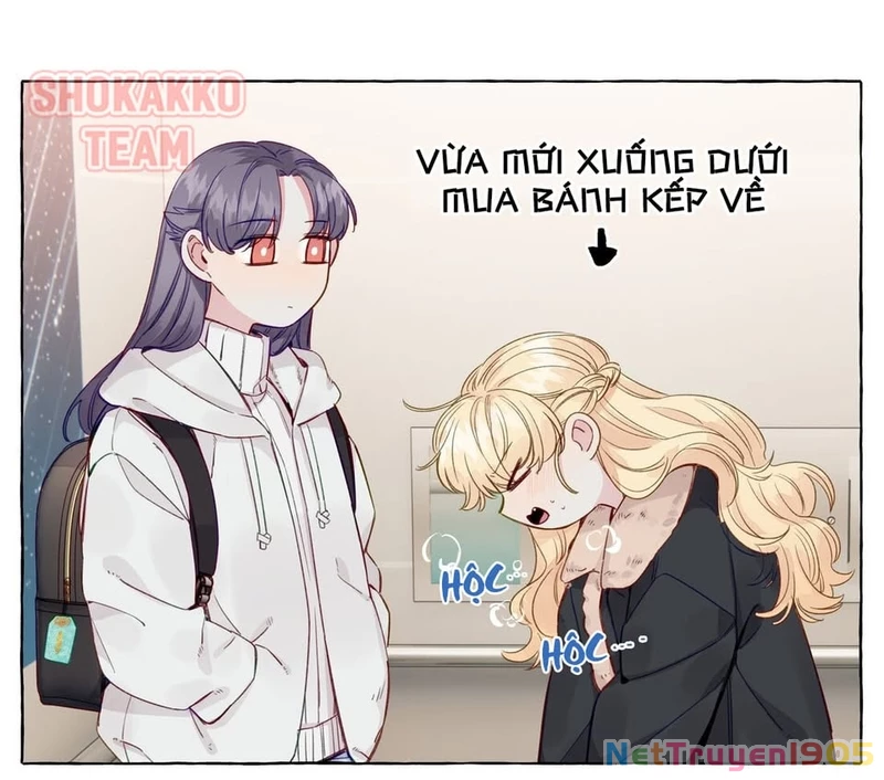 CẠM BẪY GÁI THẲNG Chapter 65 - 9