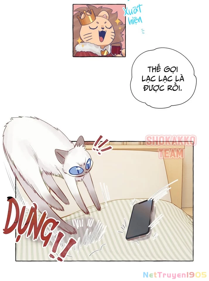 CẠM BẪY GÁI THẲNG Chapter 66 - 19