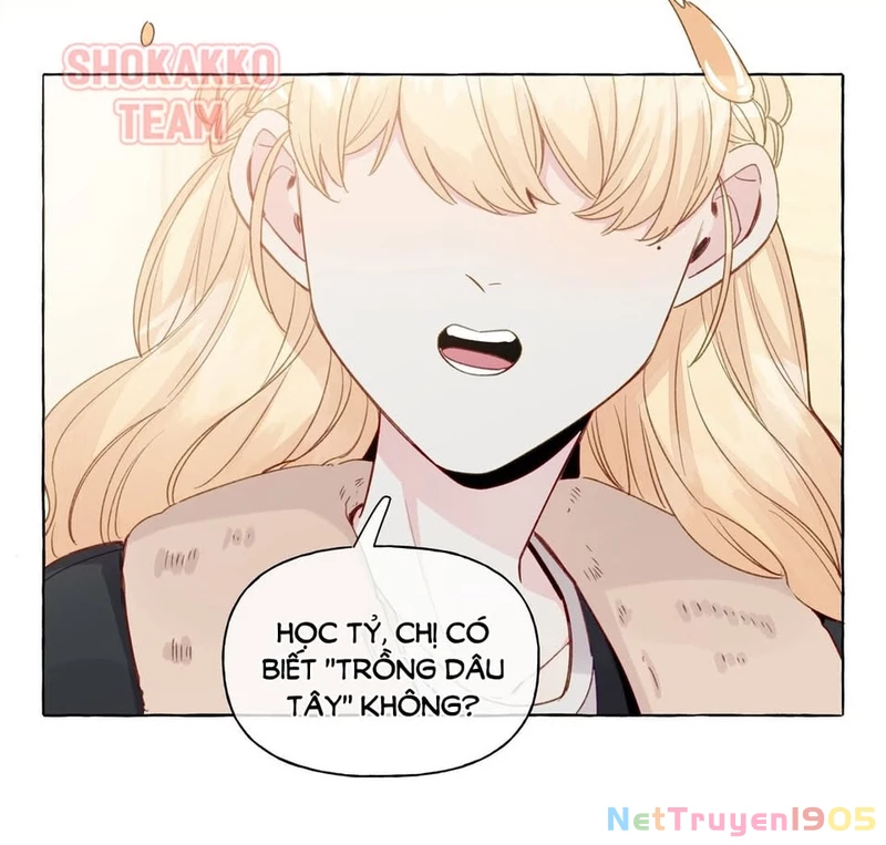 CẠM BẪY GÁI THẲNG Chapter 72 - 11