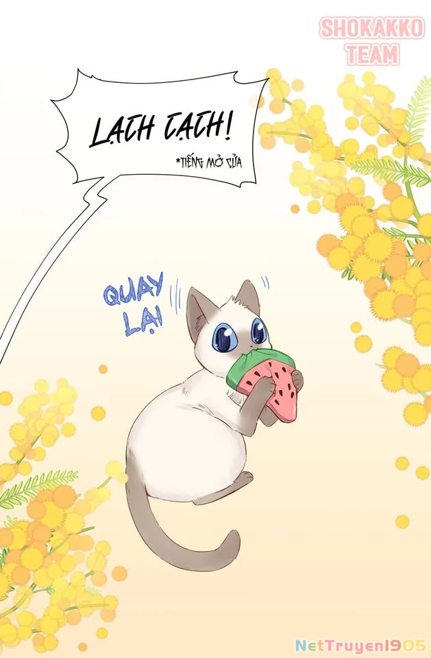 CẠM BẪY GÁI THẲNG Chapter 73 - 2