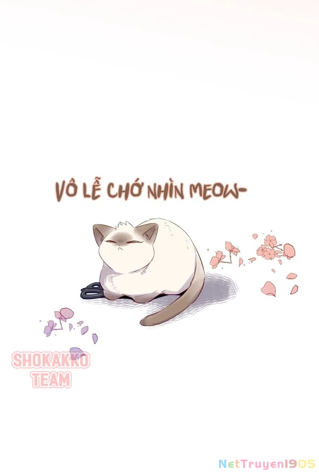 CẠM BẪY GÁI THẲNG Chapter 73 - 36