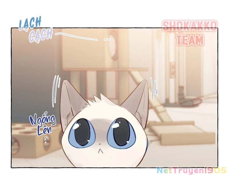 CẠM BẪY GÁI THẲNG Chapter 74 - 16