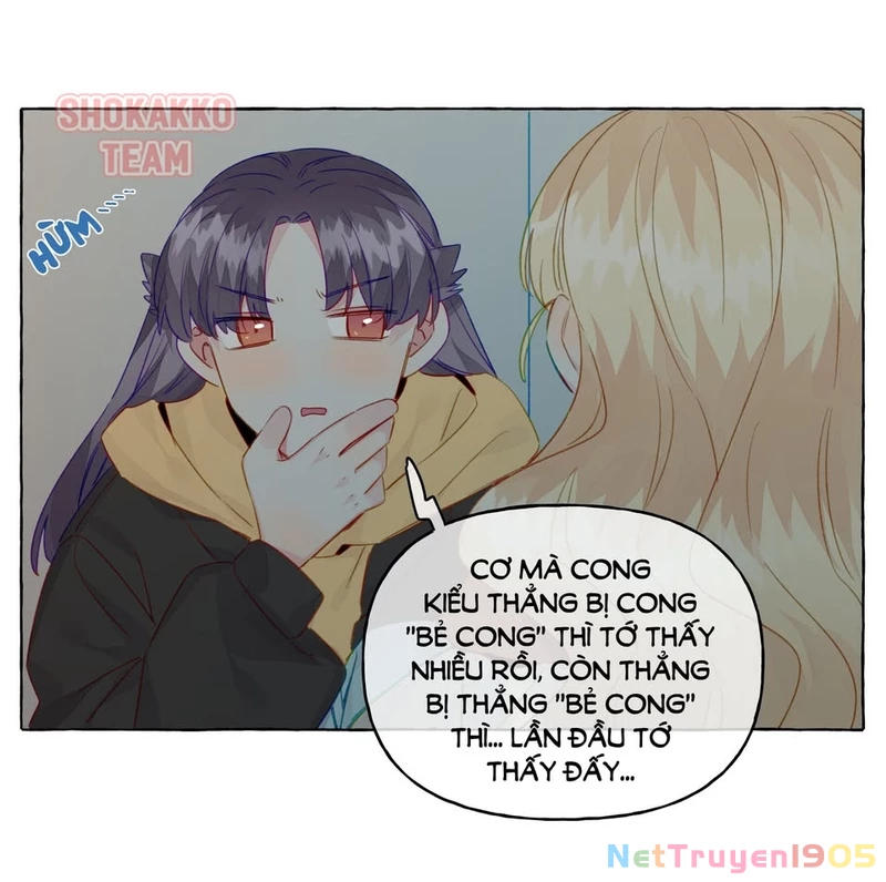 CẠM BẪY GÁI THẲNG Chapter 76 - 16