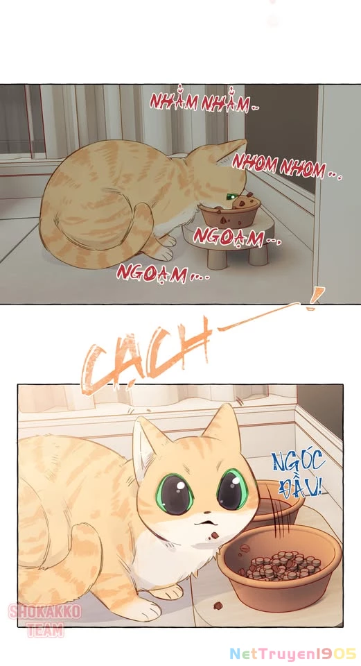 CẠM BẪY GÁI THẲNG Chapter 79 - 12