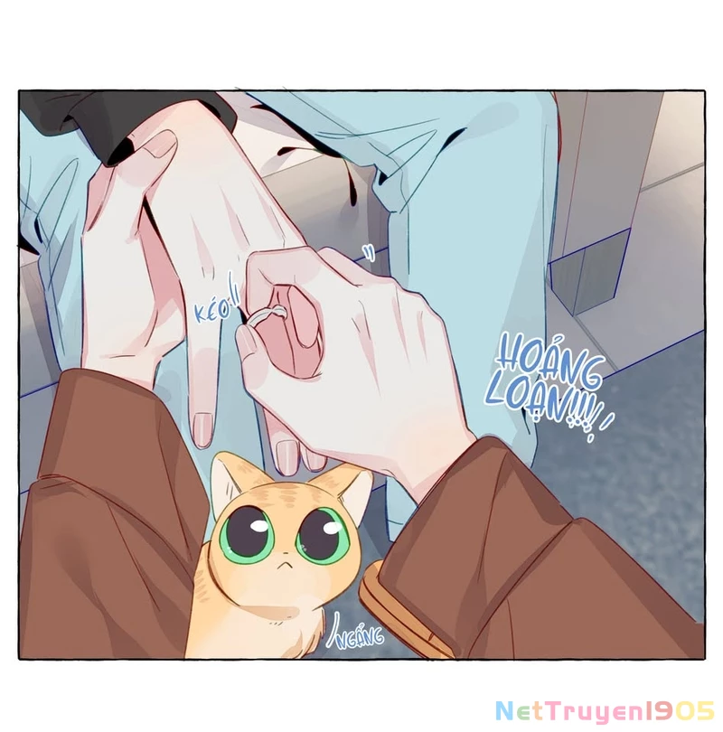 CẠM BẪY GÁI THẲNG Chapter 79 - 27