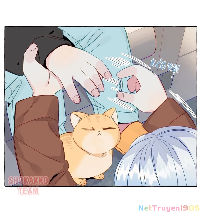 CẠM BẪY GÁI THẲNG Chapter 79 - 28