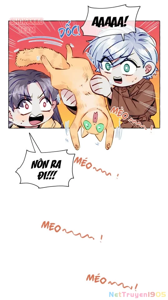 CẠM BẪY GÁI THẲNG Chapter 79 - 32