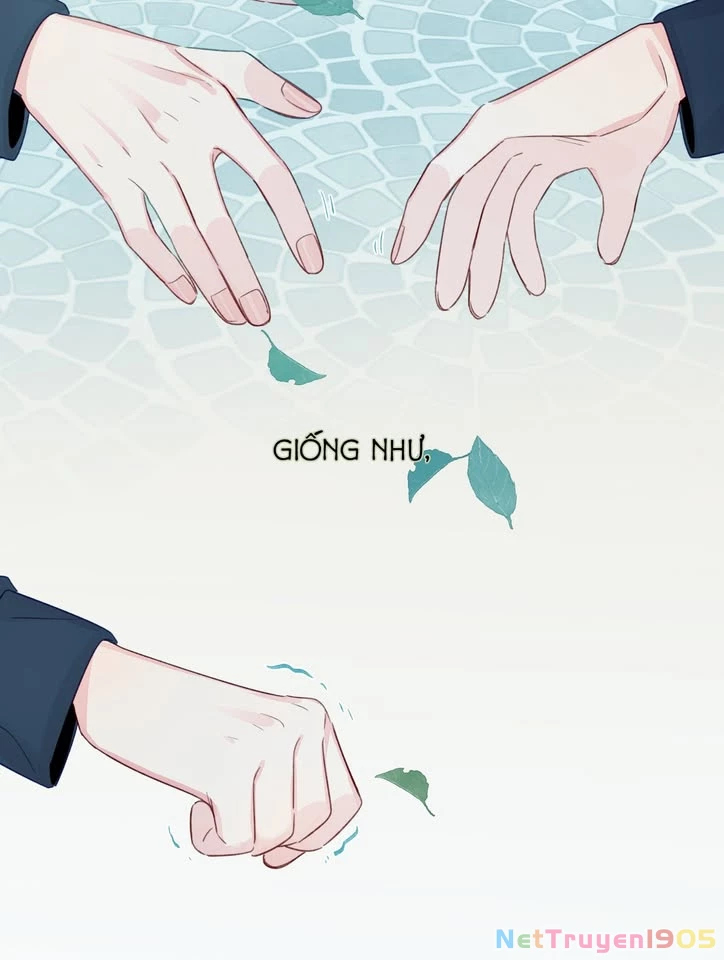 CẠM BẪY GÁI THẲNG Chapter 81 - 33