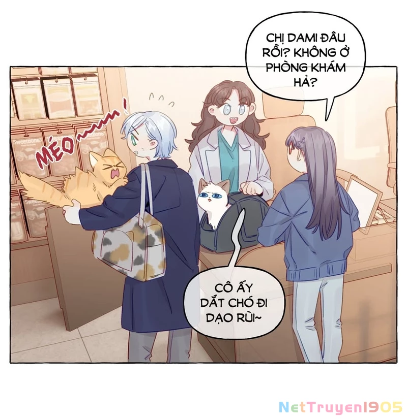 CẠM BẪY GÁI THẲNG Chapter 81 - 37