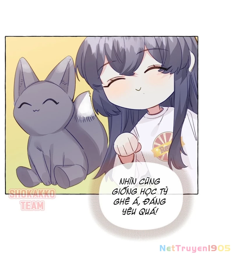 CẠM BẪY GÁI THẲNG Chapter 84 - 7