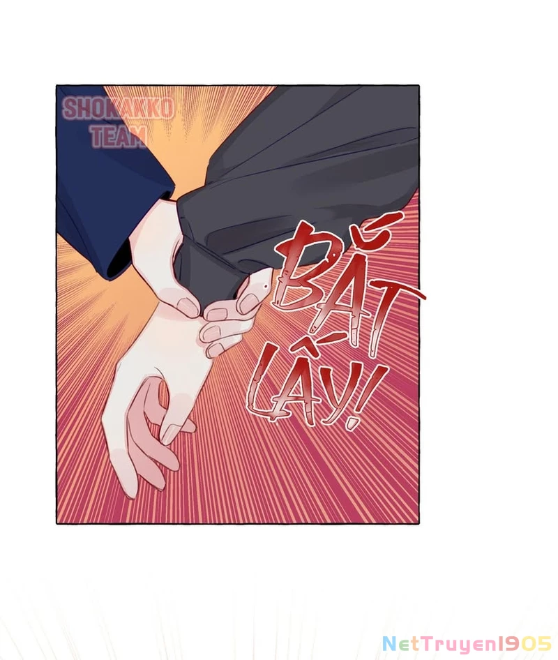 CẠM BẪY GÁI THẲNG Chapter 85 - 31