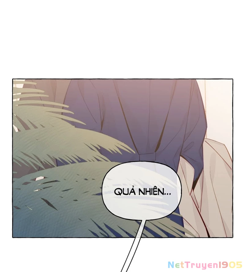 CẠM BẪY GÁI THẲNG Chapter 86 - 4