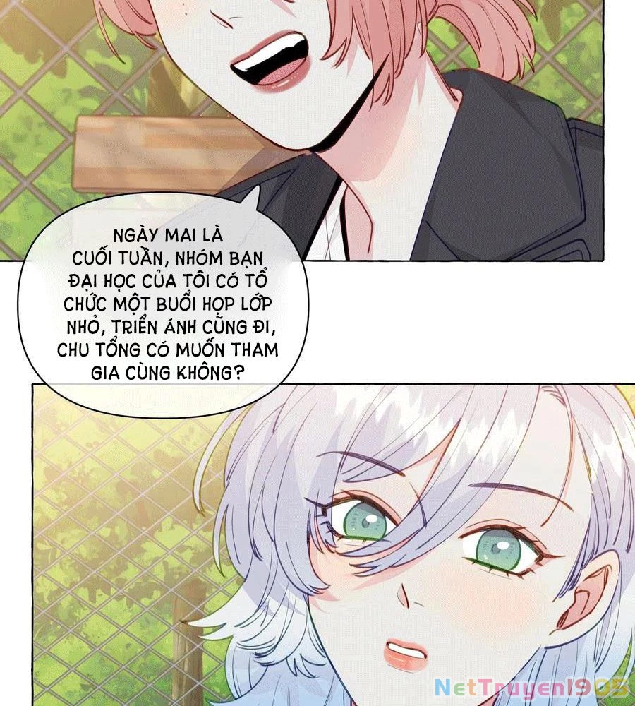 CẠM BẪY GÁI THẲNG Chapter 99 - 33