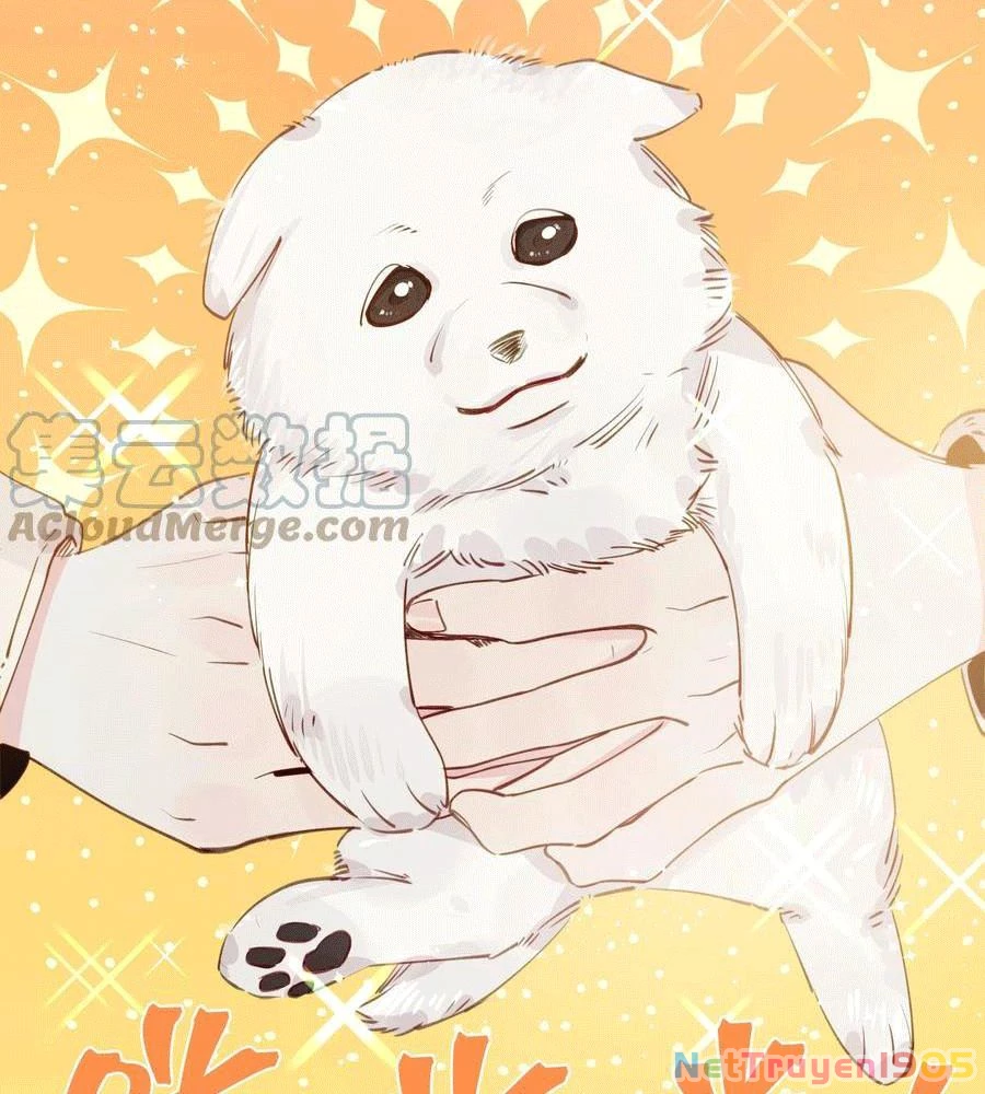 CẠM BẪY GÁI THẲNG Chapter 99 - 52