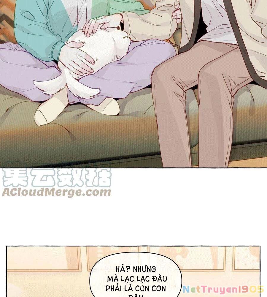 CẠM BẪY GÁI THẲNG Chapter 100 - 17