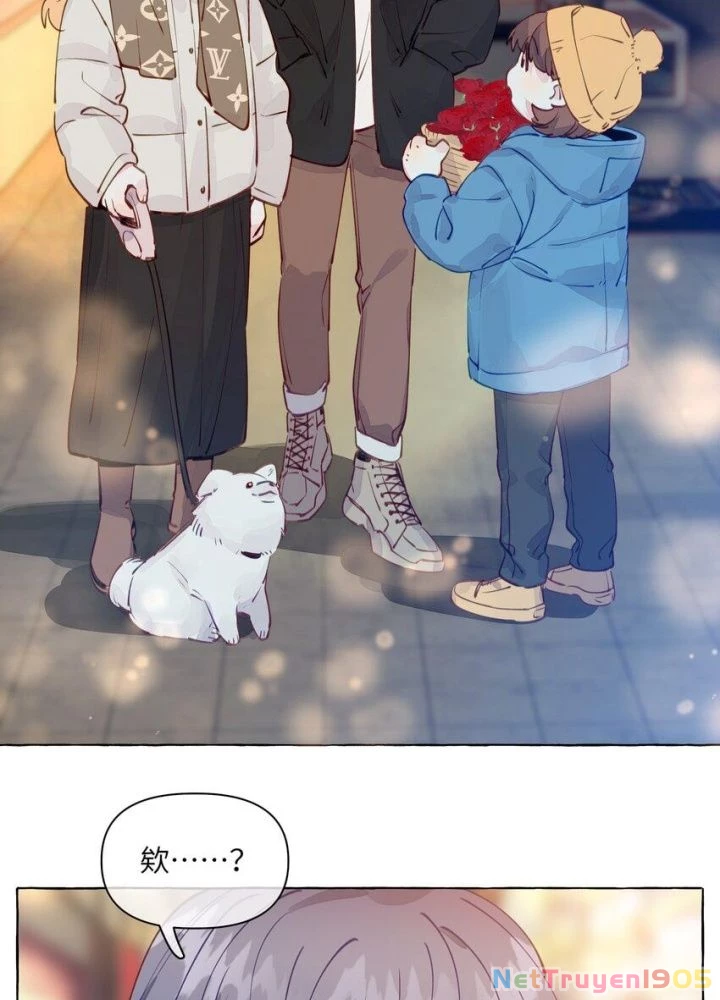 CẠM BẪY GÁI THẲNG Chapter 102 - 61