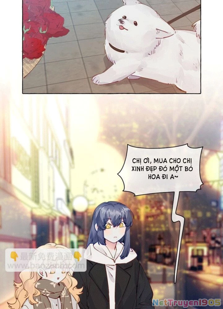 CẠM BẪY GÁI THẲNG Chapter 102 - 72