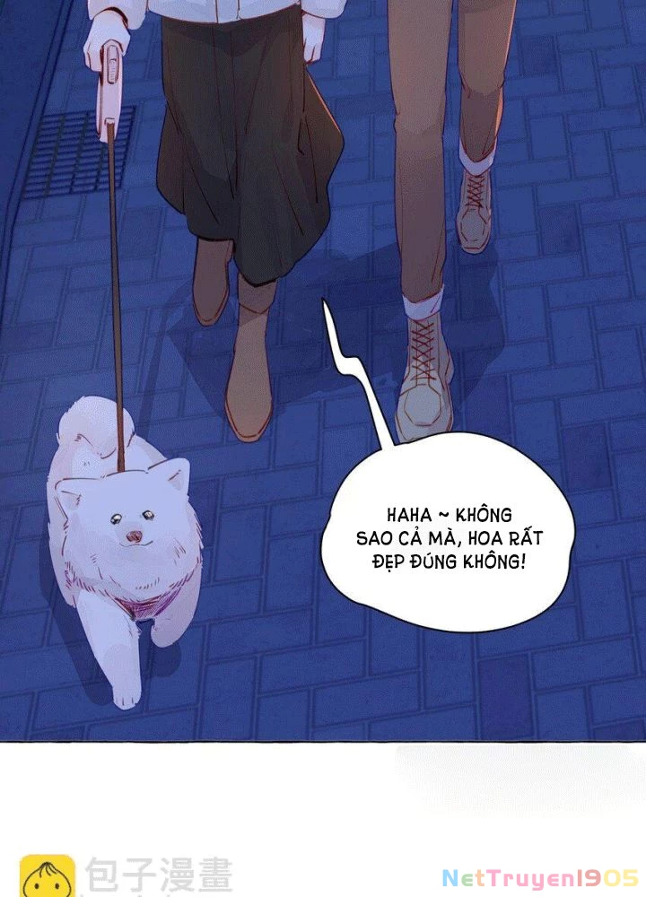 CẠM BẪY GÁI THẲNG Chapter 103 - 4