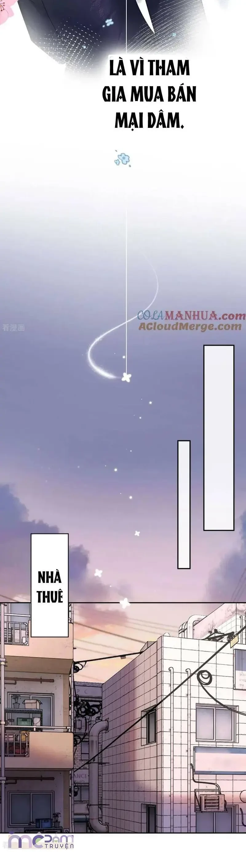 Tùy Ý Thiêu Đốt Lửa Tình Chapter 48 - 14