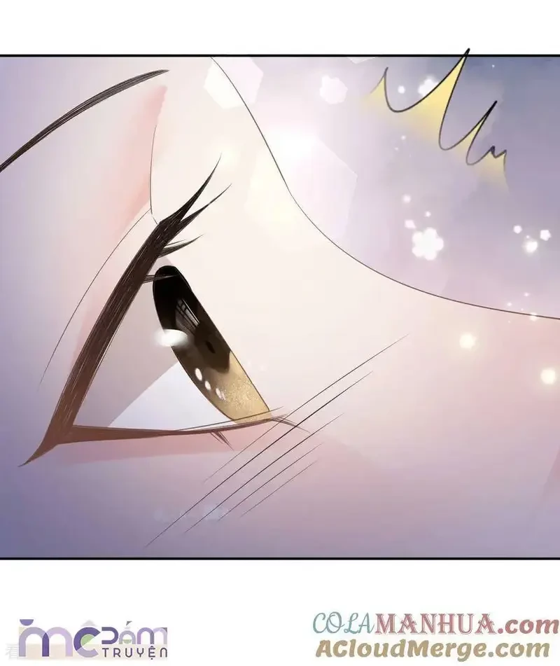 Tùy Ý Thiêu Đốt Lửa Tình Chapter 60 - 15