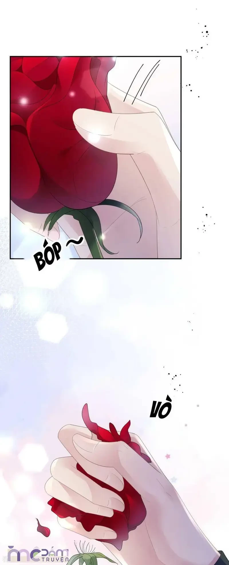 Tùy Ý Thiêu Đốt Lửa Tình Chapter 62 - 3