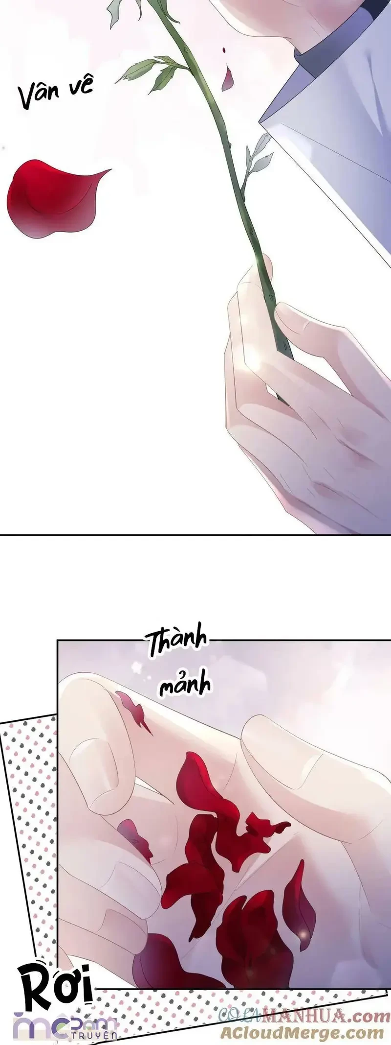 Tùy Ý Thiêu Đốt Lửa Tình Chapter 62 - 4