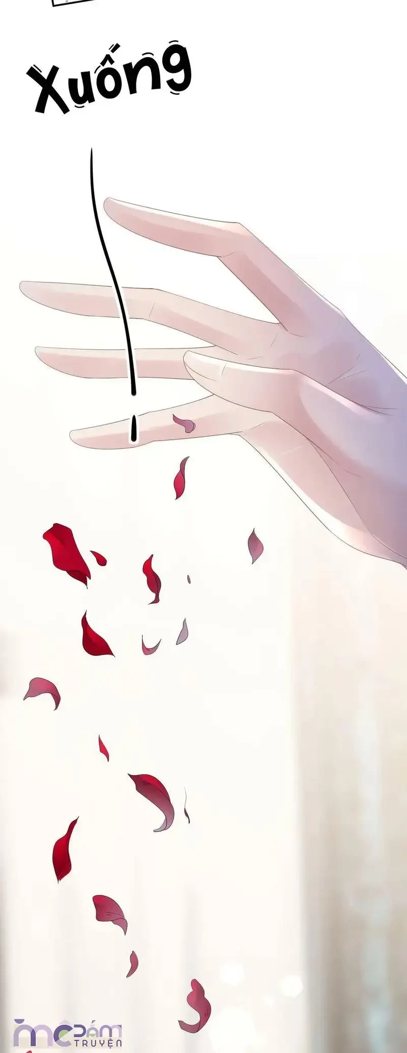 Tùy Ý Thiêu Đốt Lửa Tình Chapter 62 - 5