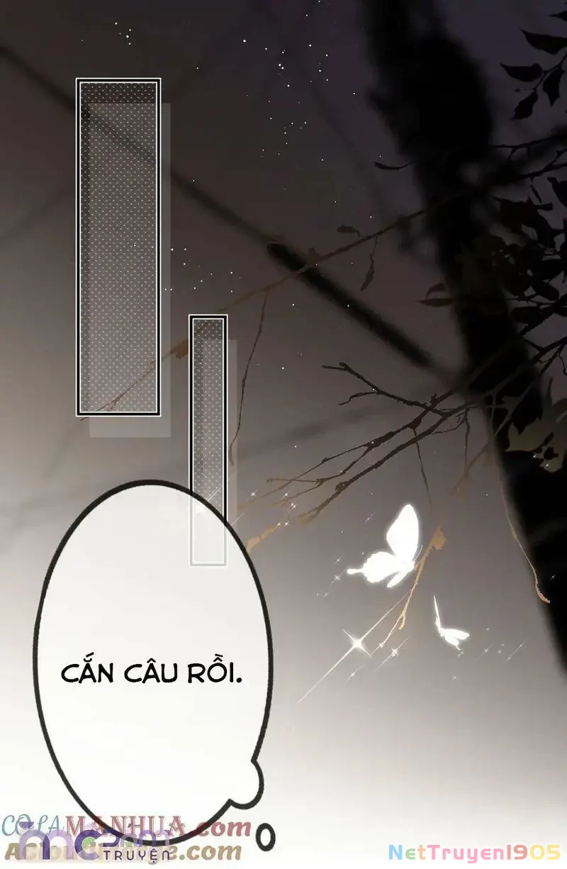 Tùy Ý Thiêu Đốt Lửa Tình Chapter 64 - 10