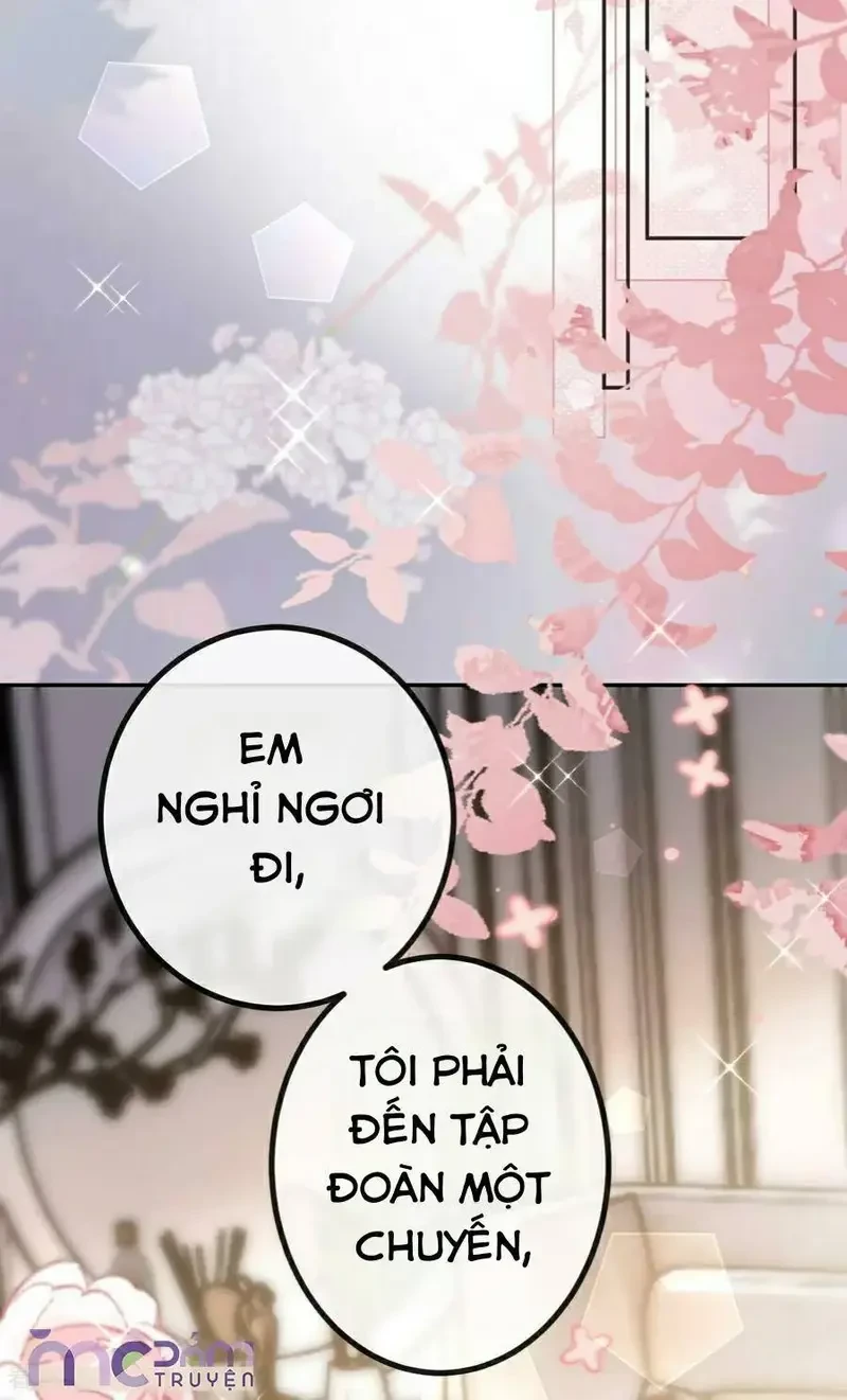 Tùy Ý Thiêu Đốt Lửa Tình Chapter 80 - 3