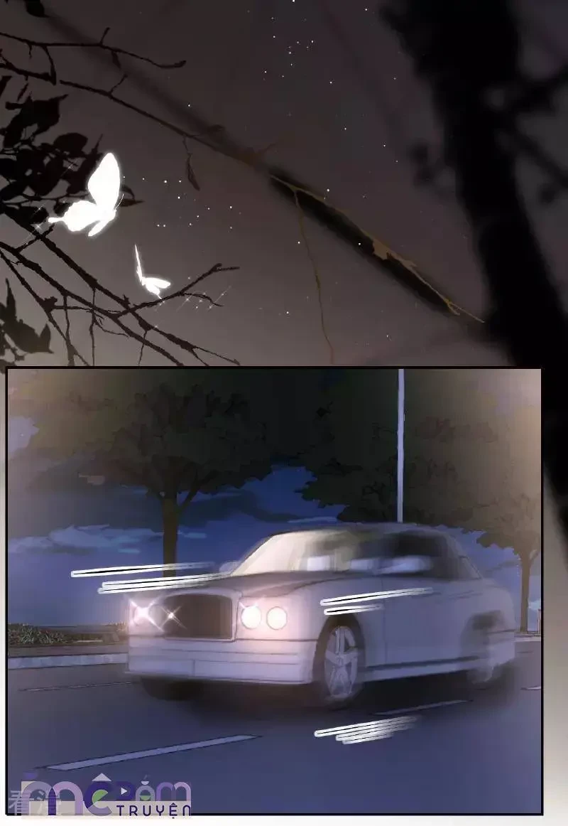 Tùy Ý Thiêu Đốt Lửa Tình Chapter 103 - 6