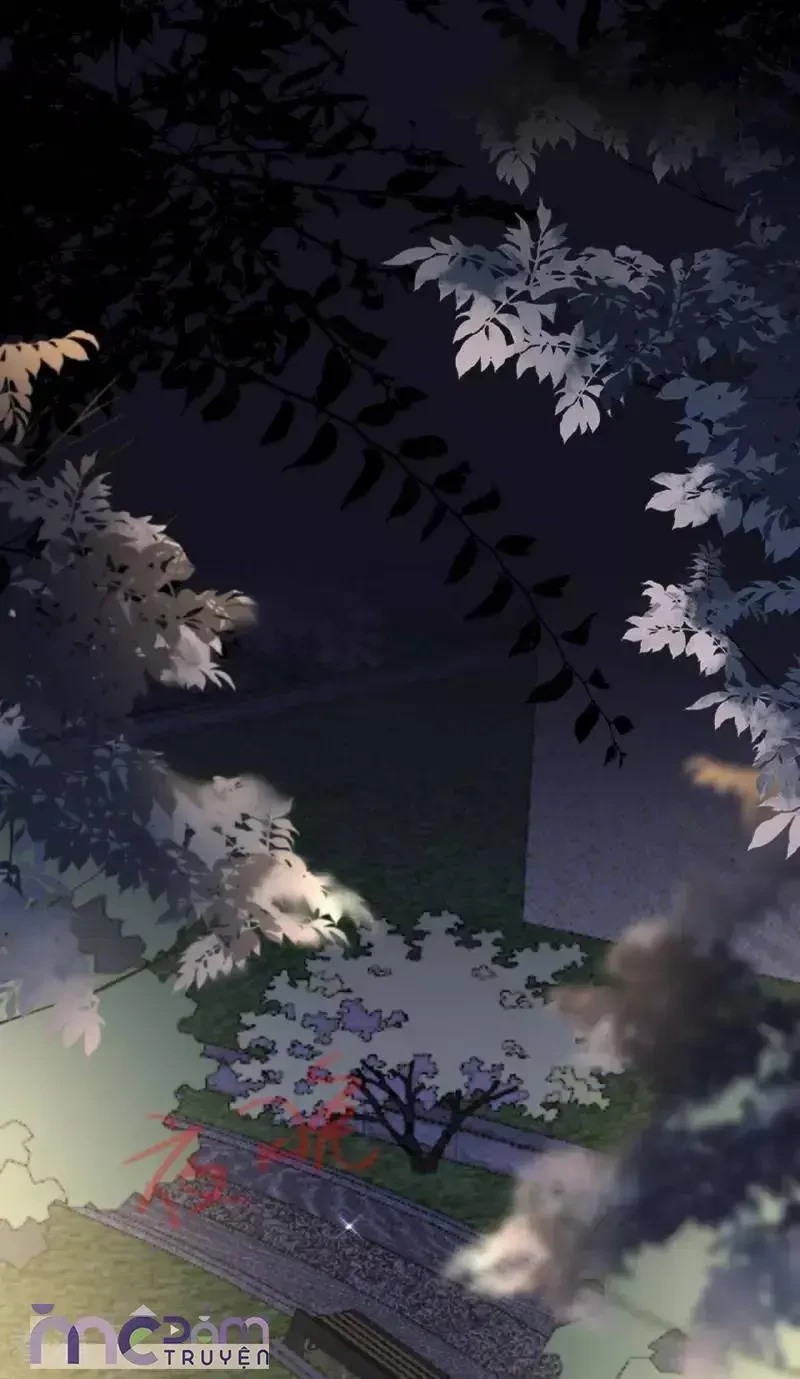 Tùy Ý Thiêu Đốt Lửa Tình Chapter 104 - 8